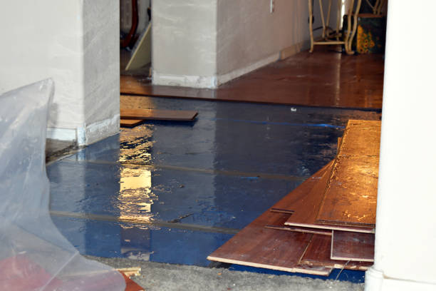Professional Burst Pipe Cleanup technician working in New Munich, MN